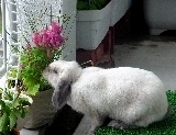 photo30.jpg