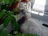 photo36.jpg