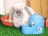 photo37.jpg