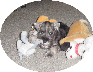 photo2.gif