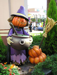 ���ڂ���̖��@�g��