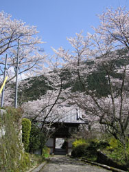폟 