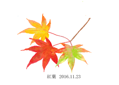 もみじその2