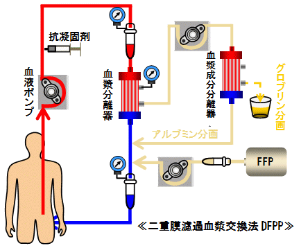 dhߌ@@DFPP