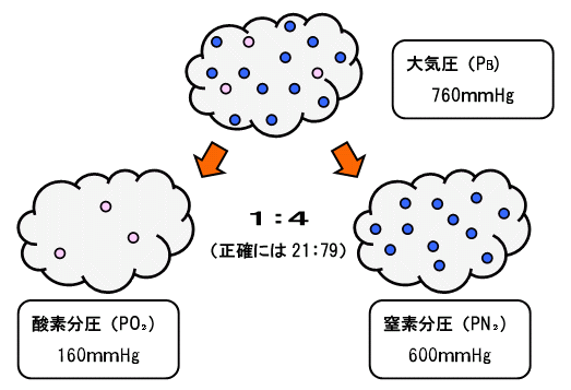 動脈血 酸素 分 圧