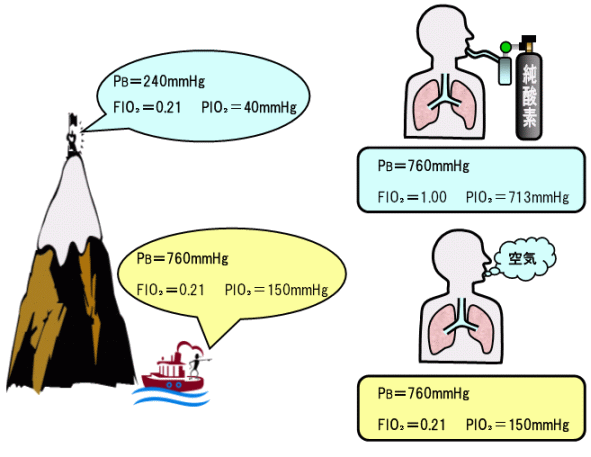 圧 分 動脈血 酸素 酸素分圧