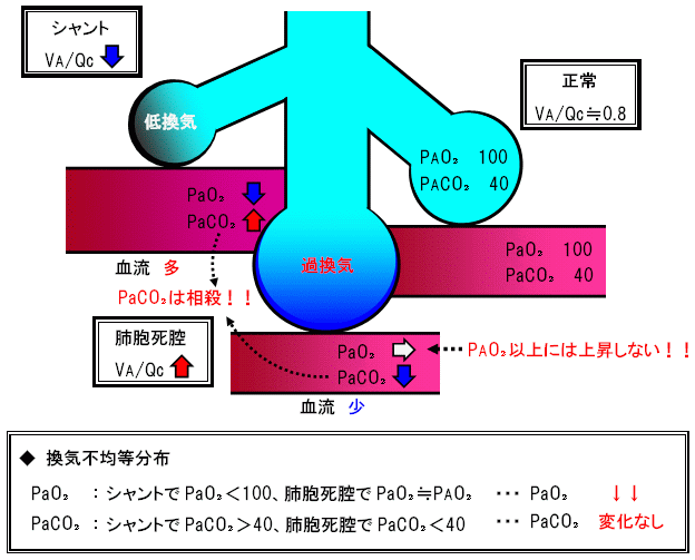 動脈血 酸素 分 圧