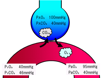 動脈血 酸素 分 圧