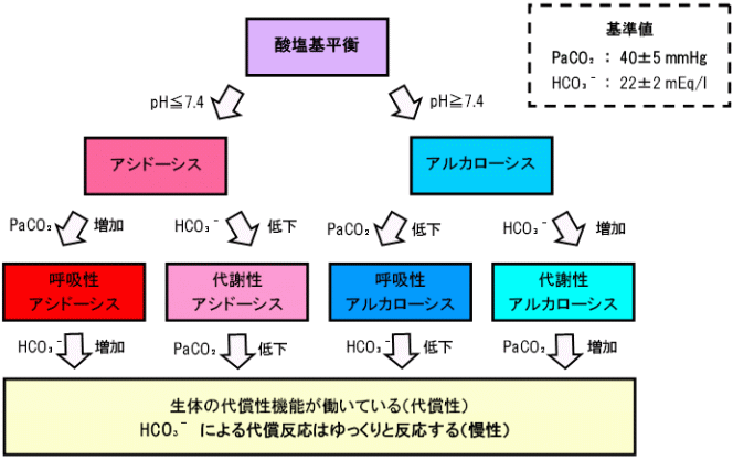 ヘンダーソン ハッセル バル ヒ