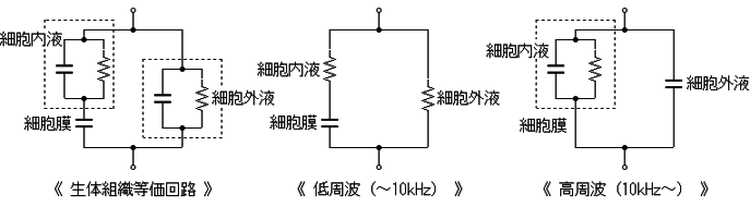 ̑gD̓dCIH