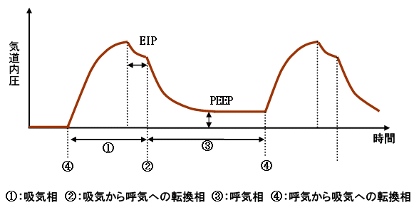 器 仕組み 呼吸 人工