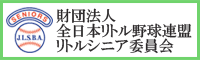 c@lS{g싅gVjAψ