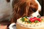marron birthday(51pic)