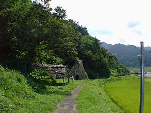 803.jpg