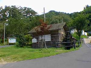 805.jpg
