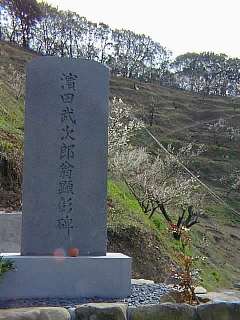 Q980302.jpg