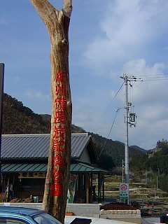 Q980304.jpg
