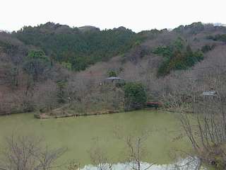 Q980307.jpg