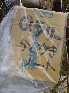 Q980407.jpg