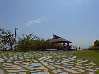 2103.jpg