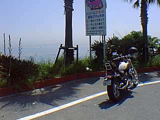 2302.jpg