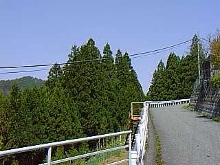405.jpg