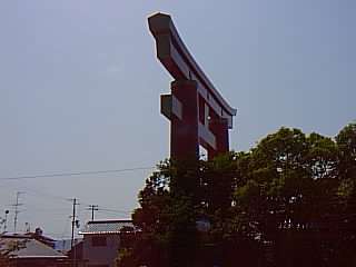 op3102.jpg