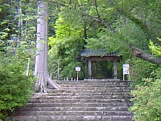 06.jpg