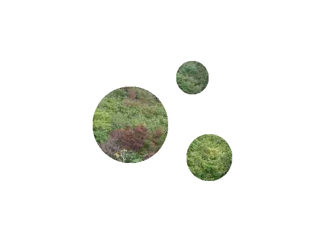 �}�[�N