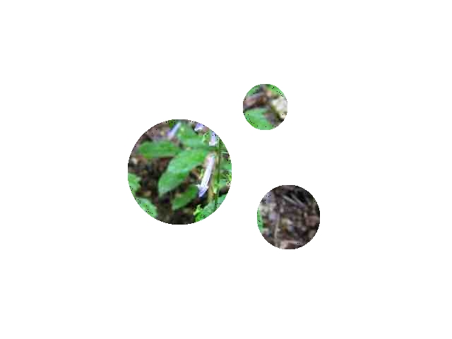 �}�[�N