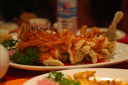 DSC_1138.JPG - 51,926BYTES