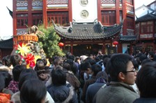 DSC_1432.JPG - 46,953BYTES