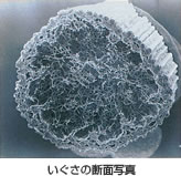 http://www.yatsushiro.org/tatami/function/img/danmenp.jpg