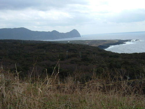 �����ۂ����i