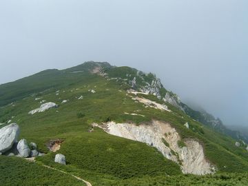 walk