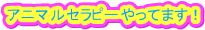 Aj}Zs[Ă܂I