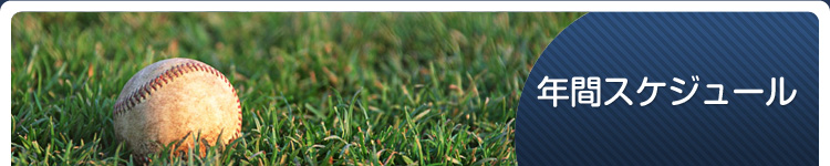 �N�ԃX�P�W���[��