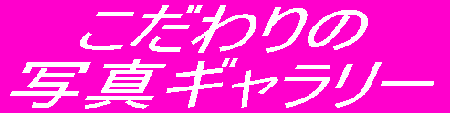 �������ʐ^�M�������[