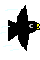 ka-.gif (1041 �o�C�g)