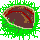 kuri.gif (1259 �o�C�g)