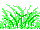 kusamura.gif (1095 �o�C�g)