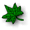 �g�t�P:nWo ISM�I���W�i��