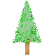 sugi.gif (1407 �o�C�g)