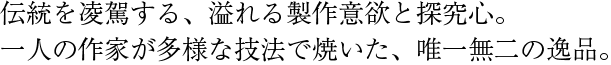 伝統を凌駕する、溢れる製作意欲と探究心。一人の作家が多様な技法で焼いた、唯一無二の逸品。