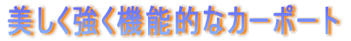 @\IȃJ[|[g