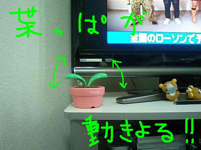 コ、コイツ・・・動くぞ!?