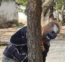 うふふ、捕まえれるもんなら捕まえてウマー
