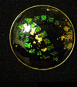 �u���[�`/��