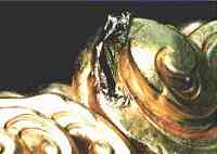 �S���ɏ�����