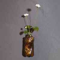 �y�b�g�{�g���A�[�g